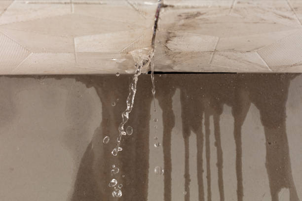 Professional Commercial Water Damage Restoration technician working in Brandon, TX